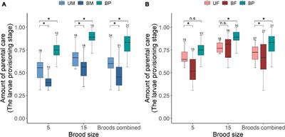 Parental Care System and Brood Size Drive Sex Difference in Reproductive Allocation: An Experimental Study on Burying Beetles